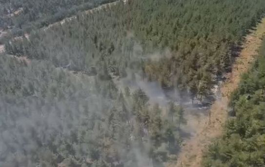 Yörükler'de Orman Yangınına Hızlı Müdahale