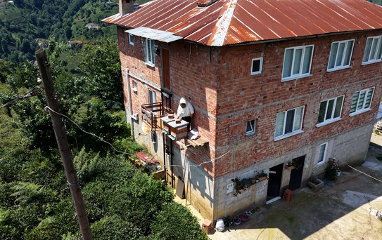 Arıcıdan Ayılara Karşı Yenilikçi Çözüm