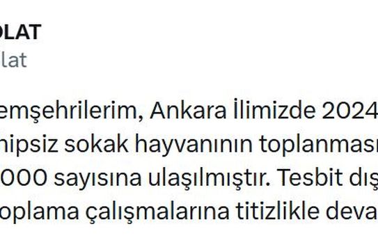 Ankara'da 52 Bin Sokak Hayvanı Toplandı