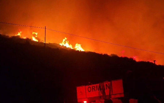 İzmir'de makilik alanda yangın