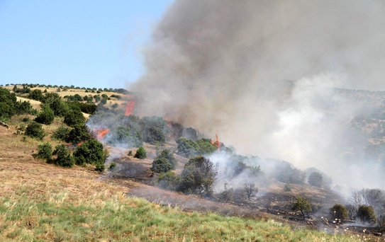 Manisa'da Yangın Riskini Azaltma Planı Başarıyla Uygulanıyor