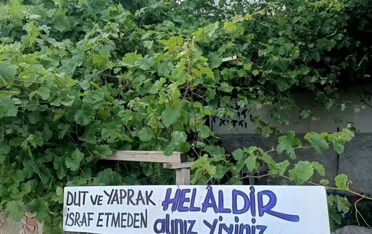 Eski başkandan helal dut ve üzüm yaprağı ilanı