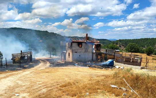 Şaphane'de Orman Yangını: 3 Hektar Zarar