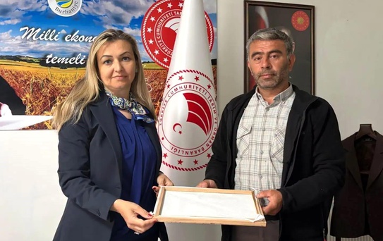 Burhaniye'de İlk İpek Kozası Hasadı