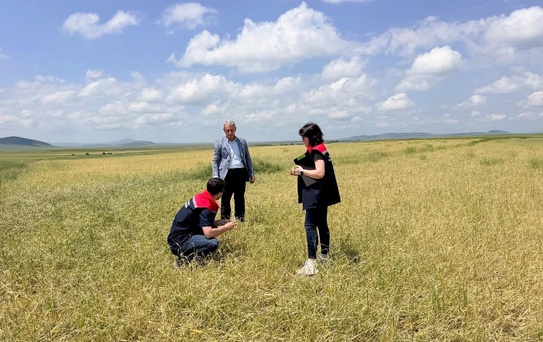 Kars'ta Fırtına ve Dolu Zarar Verdi
