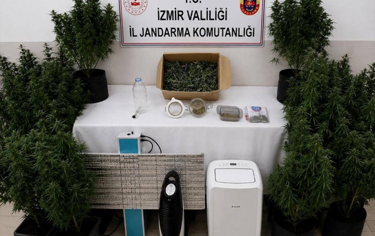 İzmir'de hükümlünün yatak odasında uyuşturucu serası bulundu