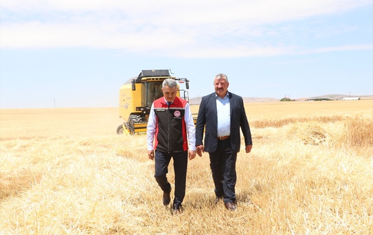 Yozgat'ta hububat hasadı başladı