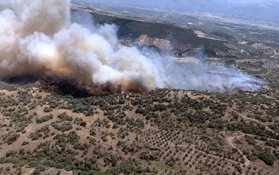 Aydın'da Yangın Riski Devam Ediyor