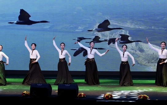 Türkiye ve Çin'den Sanat Dolu Gece