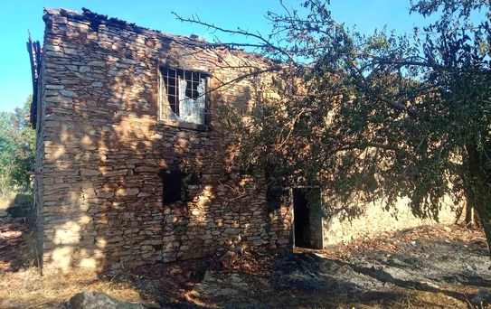 Pütürge'de Yangın: 2 Ev ve Meyve Bahçesi Zarar Gördü