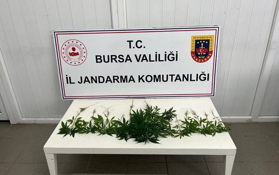 Bursa'da Uyuşturucu Operasyonu: 3 Gözaltı