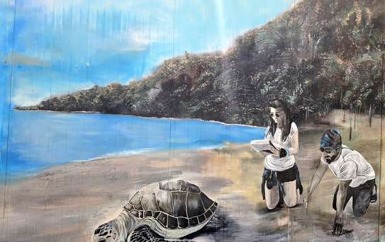 Caretta Caretta Yuvaları Korunuyor