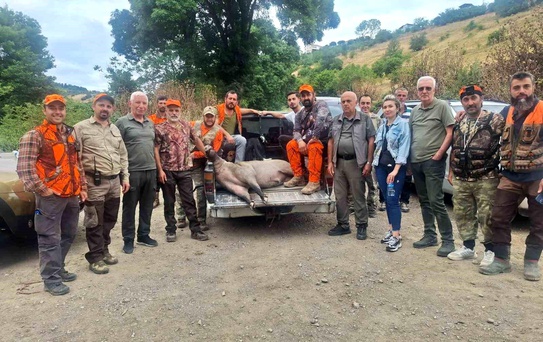 Samsun'da Domuz Avı Başladı - sondakika.com