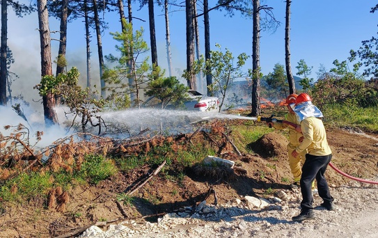 Ovacık'ta Otomobil Yangını Ormanı Tehdit Etti