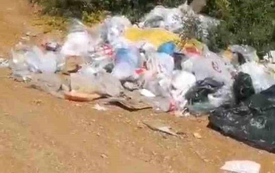 Bolu'da Doğa Sevgisi: Amatör Balıkçı Çöp Topladı