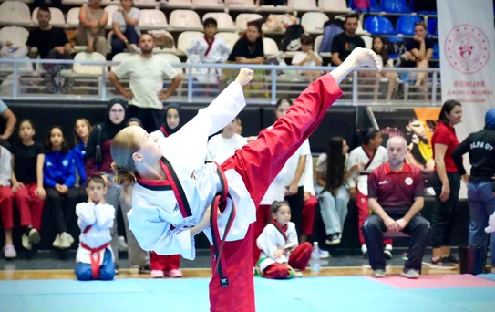 15 Temmuz Taekwonto Turnuvası Balıkesir'de Başladı