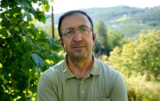 Fındık Hasadı İçin File Örtü Yöntemi