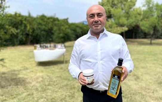 Zeytin Sektöründe Bereket Beklentisi