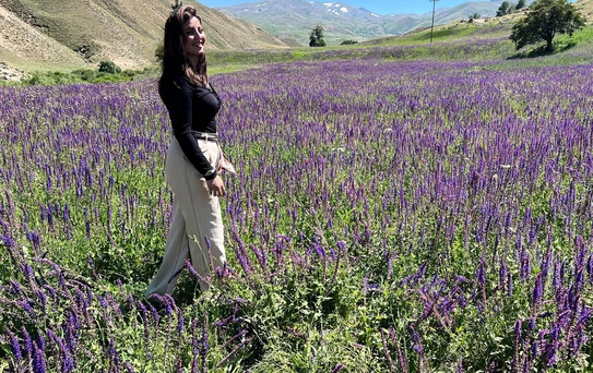 Başakale'deki Lavanta Tarlası Ziyaretçileri Ağırlıyor