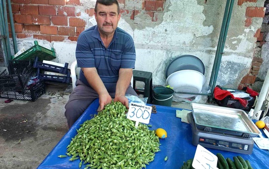 Burhaniye'de Bamya Fiyatları Zirveye Çıktı