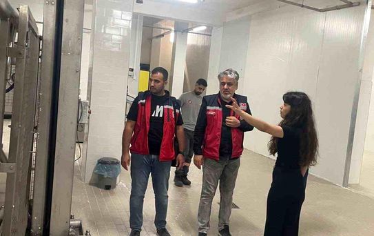 Hatay'da Evcil Hayvan Maması Tesisi Denetlendi