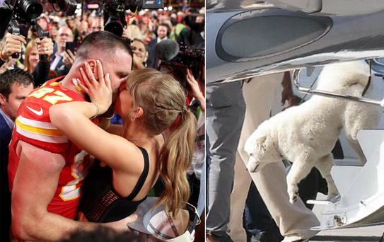 İşte Taylor Swift ve Travis Kelce'nin sır gibi sakladığı köpeği!