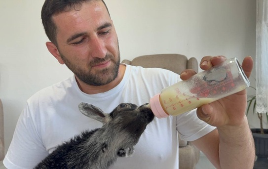 Engelli Keçiye Yeni Bir Aile