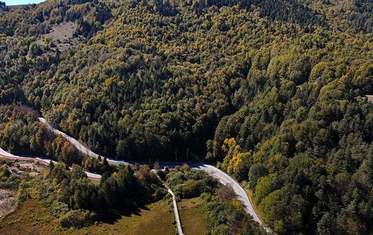 Bolu'da Ormanlık Alanlara Giriş Yasağı