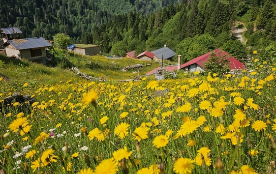 Kaçkar Dağları'nda Doğanın Keyfi