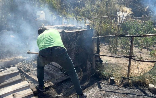 Kütahya'da alevler 11 paçalı güvercini telef etti