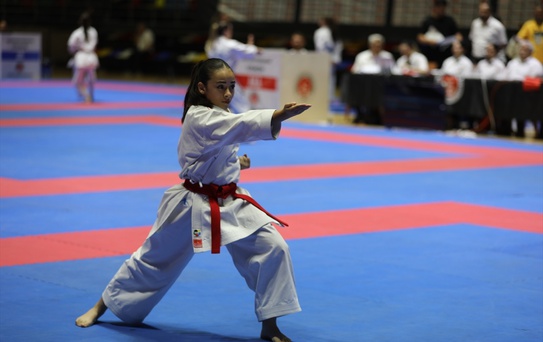 Samsun'da Karate Şampiyonası Başladı