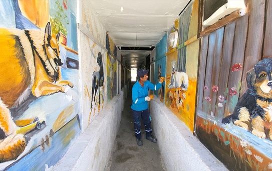 Temizlik İşçisi Sanatçı