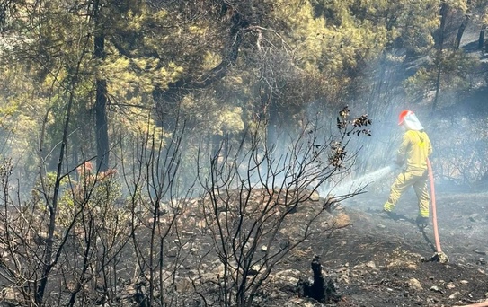 Balıkesir'de yangın felaketi! Ormanlık alana ulaşması son anda engellendi