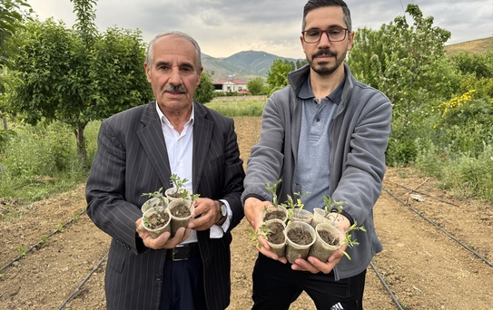 Ata Tohumlarıyla Yüksekova'da Tarım