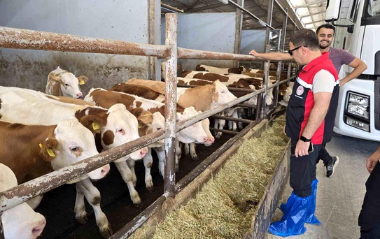 Orhaneli'de Hayvan Yetiştiriciliği Kontrolü
