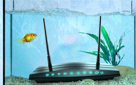 Wifi Sorunları: Mikrodalgalar ve Daha Fazlası