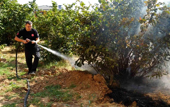 Düzce İtfaiyesi 3 ayda 300 anız yangınına müdahale etti
