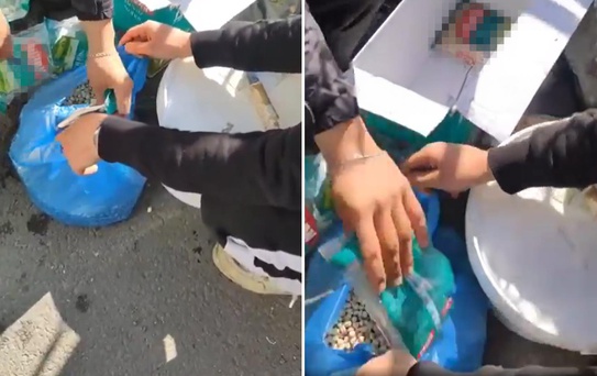 Esnaftan pes dedirten oyun! Marketten alıp 'köy nohudu' diye satmışlar