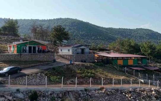 Kozan'da hedef sıfır sahipsiz sokak hayvanı
