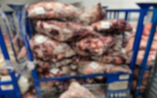 Lüleburgaz'da kaçak soğuk hava deposuna yapılan baskında 4,6 ton ete el konuldu