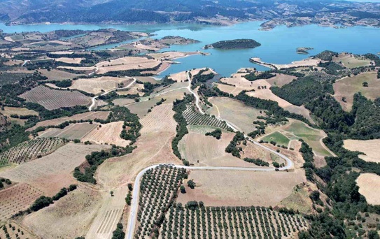 Gördes Barajı'na Bal Ormanı: İzmir-Manisa İş Birliği