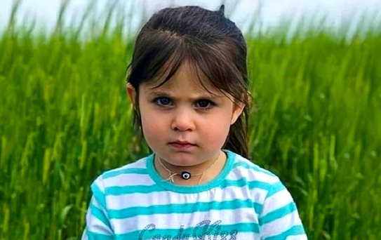 Leyla Aydemir Davasında Cezalar Açıklandı