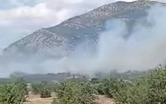 Acıpayam’daki orman yangını kontrol altına alındı