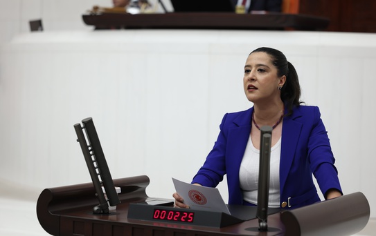 Göçmen İşçilerin Çalışma Koşulları TBMM Gündeminde