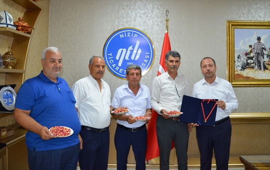 İlk Mahsul Antep Fıstığına Altın Ödül