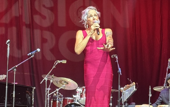 Pink Martini İstanbul'da Konser Verdi