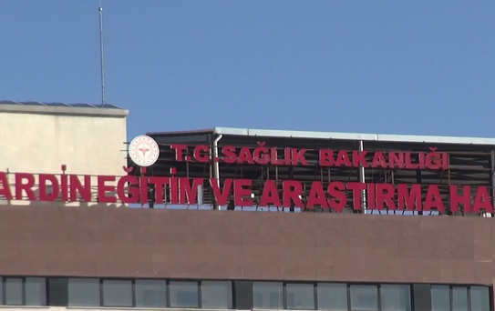 Mardin'de Kaza: 1 Ölü, 1 Yaralı