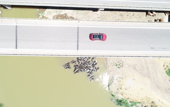 Diyarbakır'da Besicilik ve Sıcak Hava Mücadelesi