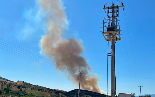 İzmir Kiraz'da Tarım Arazisinde Yangın