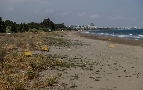 Deniz Kaplumbağaları İçin Koruma Çalışmaları